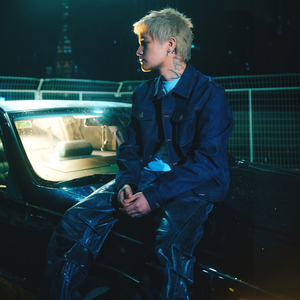 埃及猫黄化的视频
