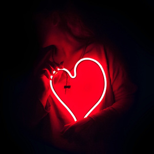 埃及猫黄化的视频
