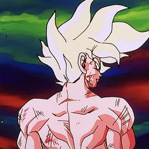 埃及猫黄化的视频
