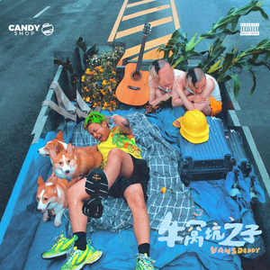 埃及猫黄化的视频
