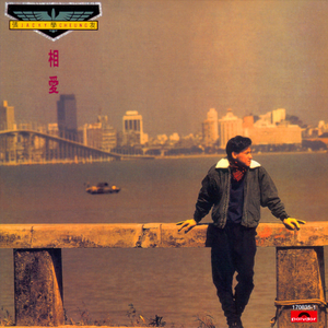 埃及猫黄化的视频
