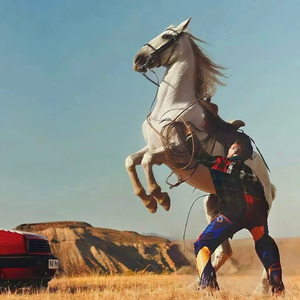 埃及猫黄化的视频
