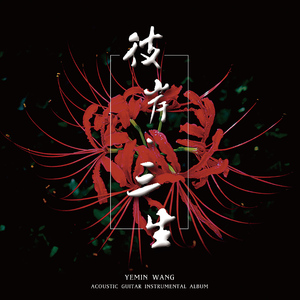 埃及猫黄化的视频
