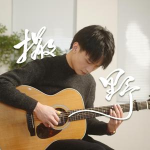 埃及猫黄化的视频
