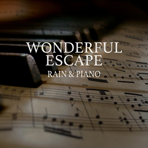 埃及猫黄化的视频
