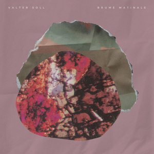 埃及猫黄化的视频
