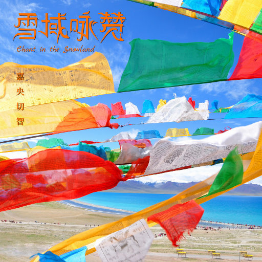 埃及猫黄化的视频
