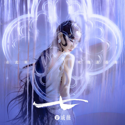 埃及猫黄化的视频
