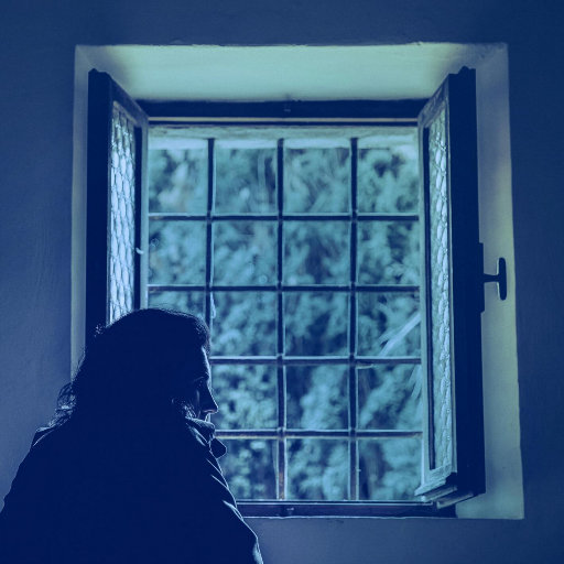 埃及猫黄化的视频
